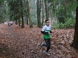 2017-01-08 Cross AVO 83 - 002